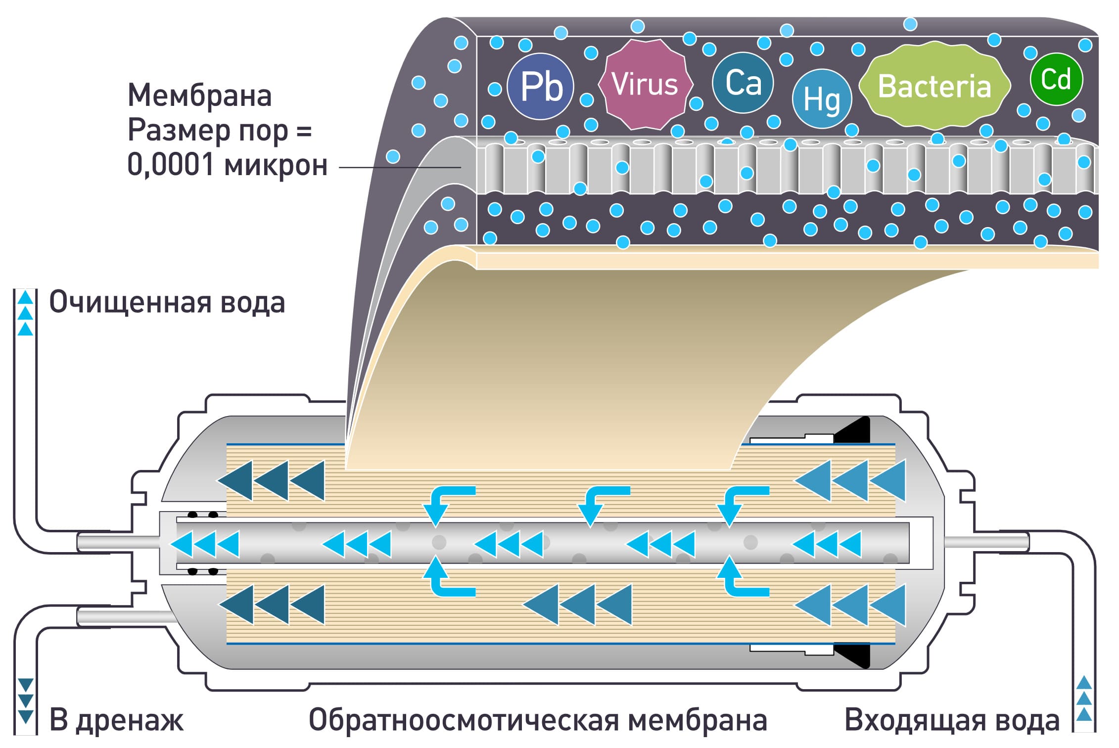 Как работают фильтры обратного осмоса Как работают фильтры обратного осмоса